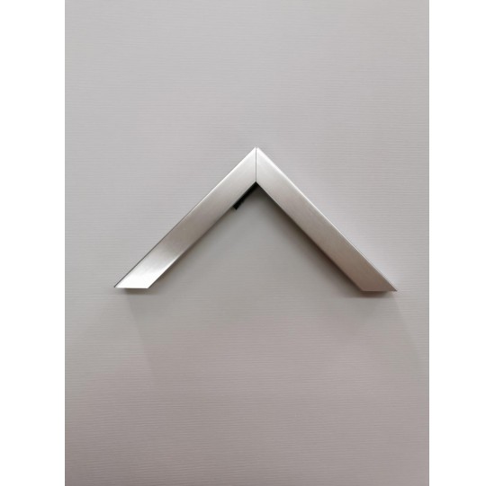 F071LXN Silver Frame